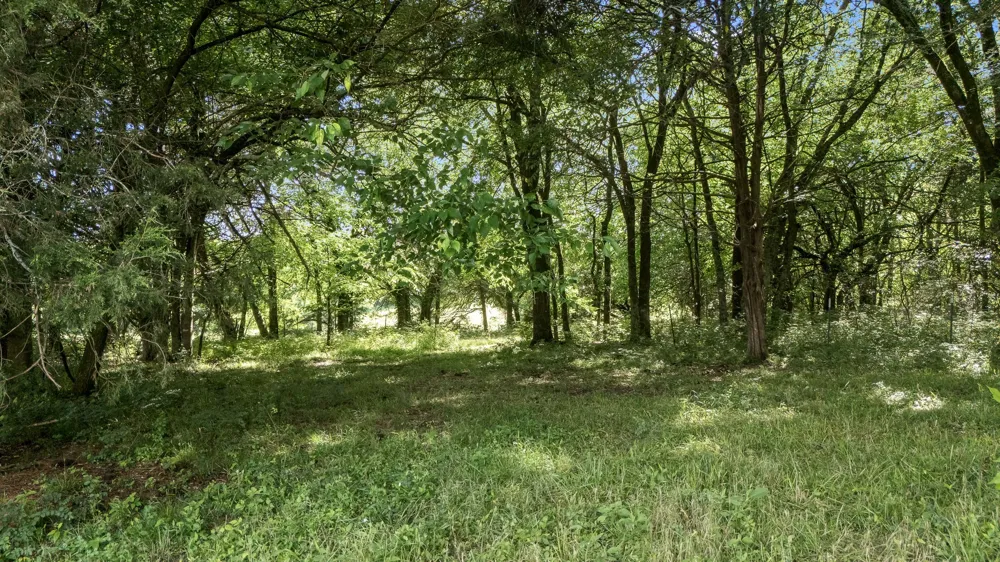 0 Hickerson Road Wartrace, TN 37183