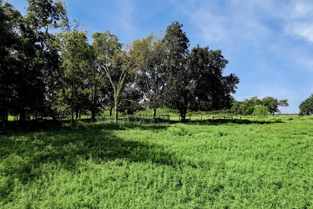 Pool Hill Rd Brookshire, TX 77423