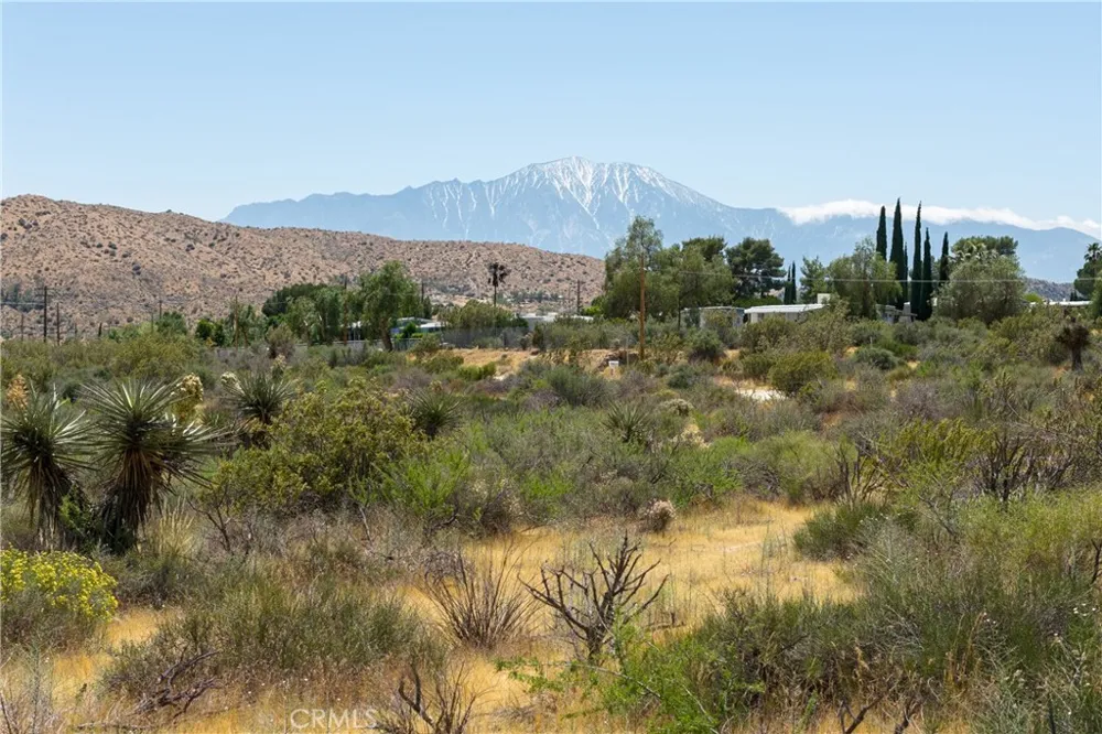 East Morongo Valley, CA 92256
