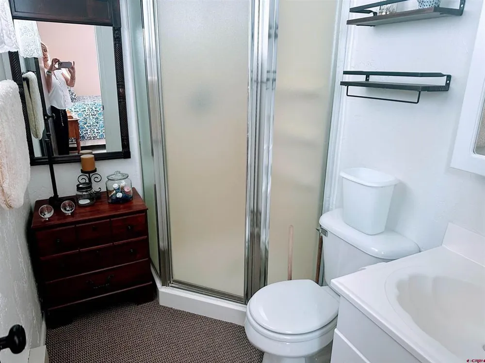106 Lupine Drive South Fork, CO 81154