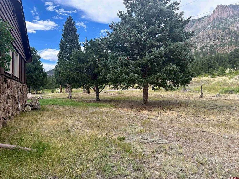 106 Lupine Drive South Fork, CO 81154