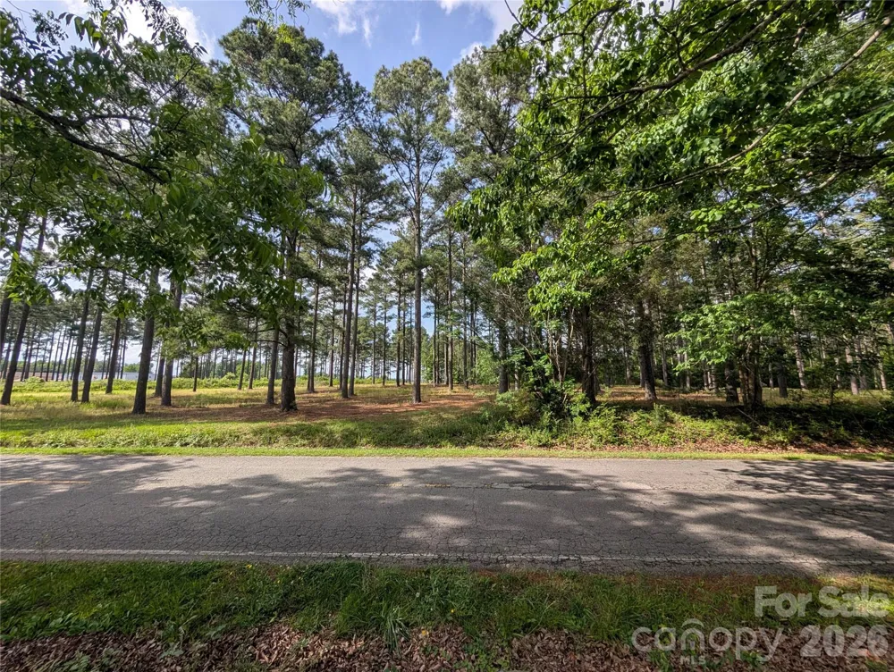 0000 Blessed Hope Road #Tract 2 York, SC 29745