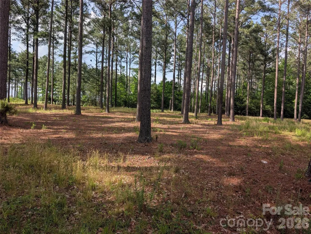 0000 Blessed Hope Road #Tract 2 York, SC 29745