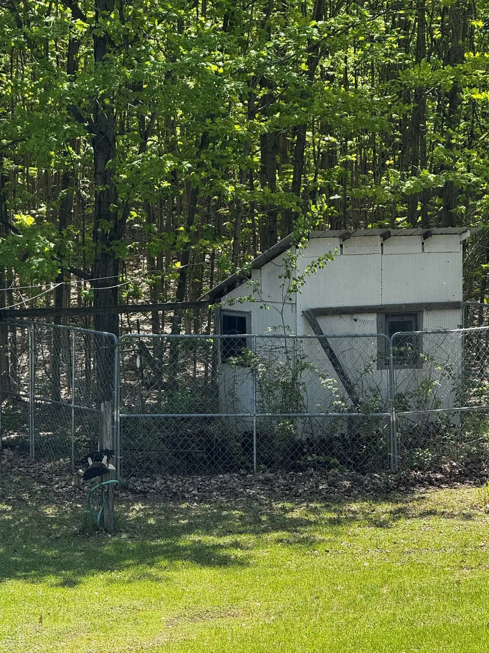 7488 Traverse Road Colfax Township, MI 49683