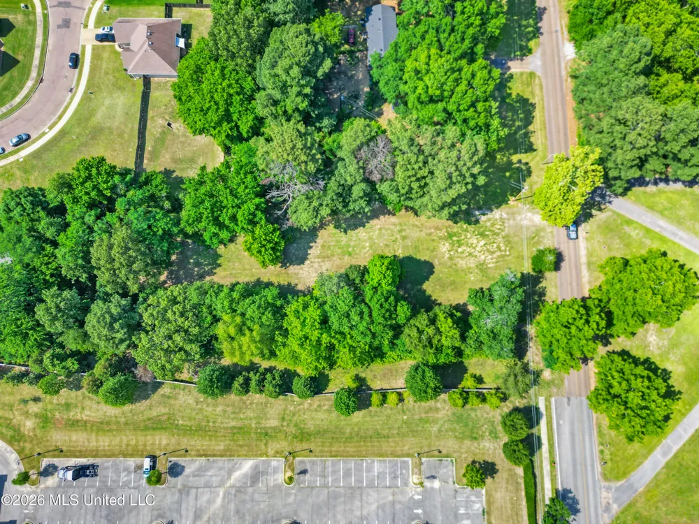 7231 Hamilton Circle Olive Branch, MS 38654