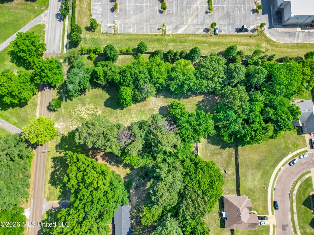 7231 Hamilton Circle Olive Branch, MS 38654