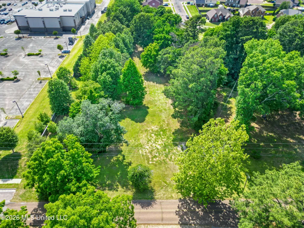 7231 Hamilton Circle Olive Branch, MS 38654