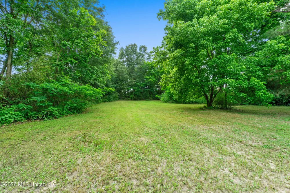 7231 Hamilton Circle Olive Branch, MS 38654