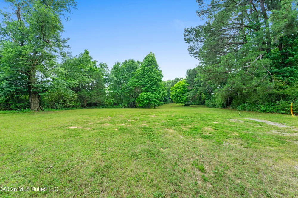 7231 Hamilton Circle Olive Branch, MS 38654