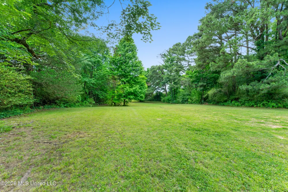 7231 Hamilton Circle Olive Branch, MS 38654