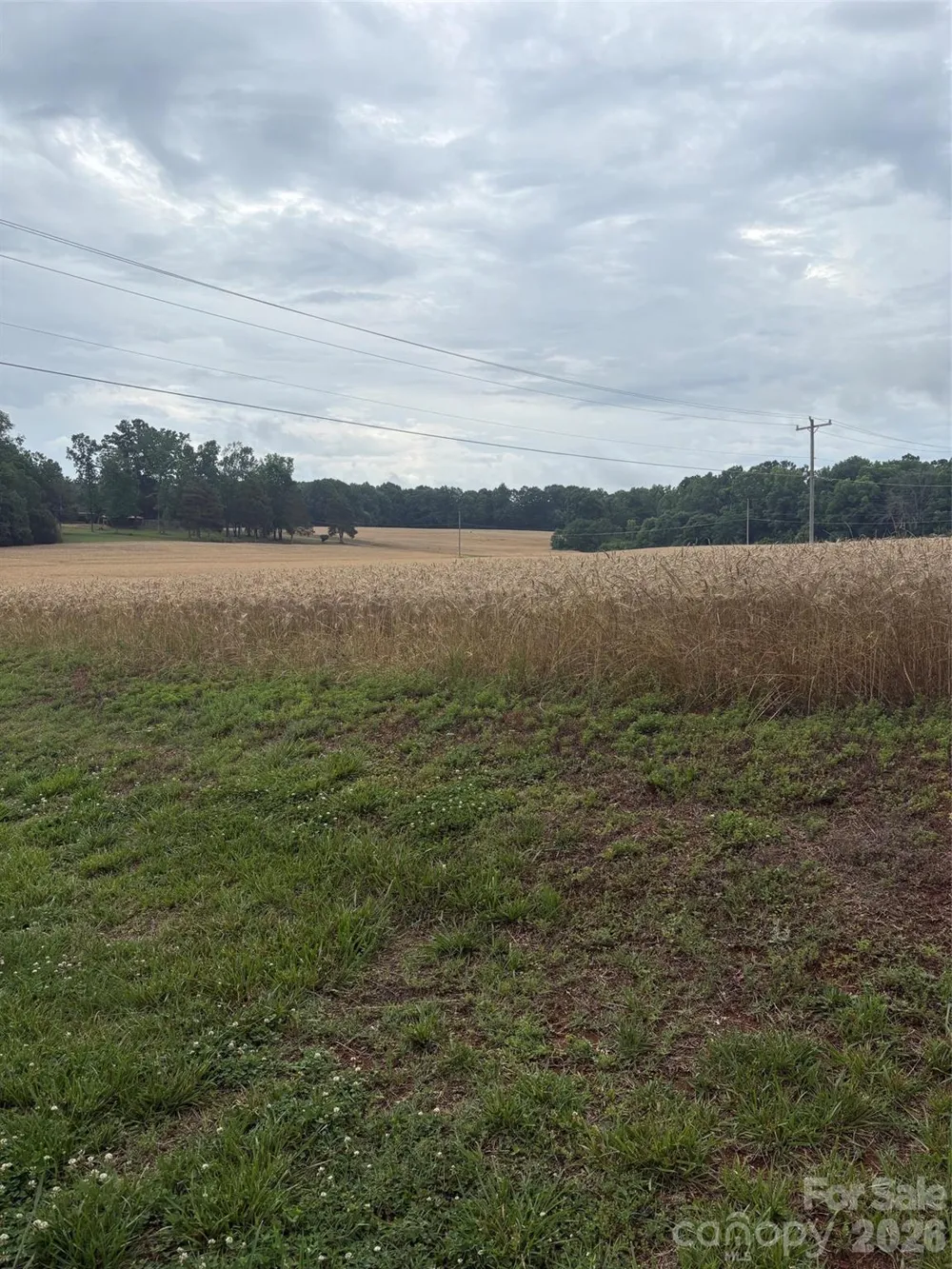 3434 Morgan Mill Road Monroe, NC 28110