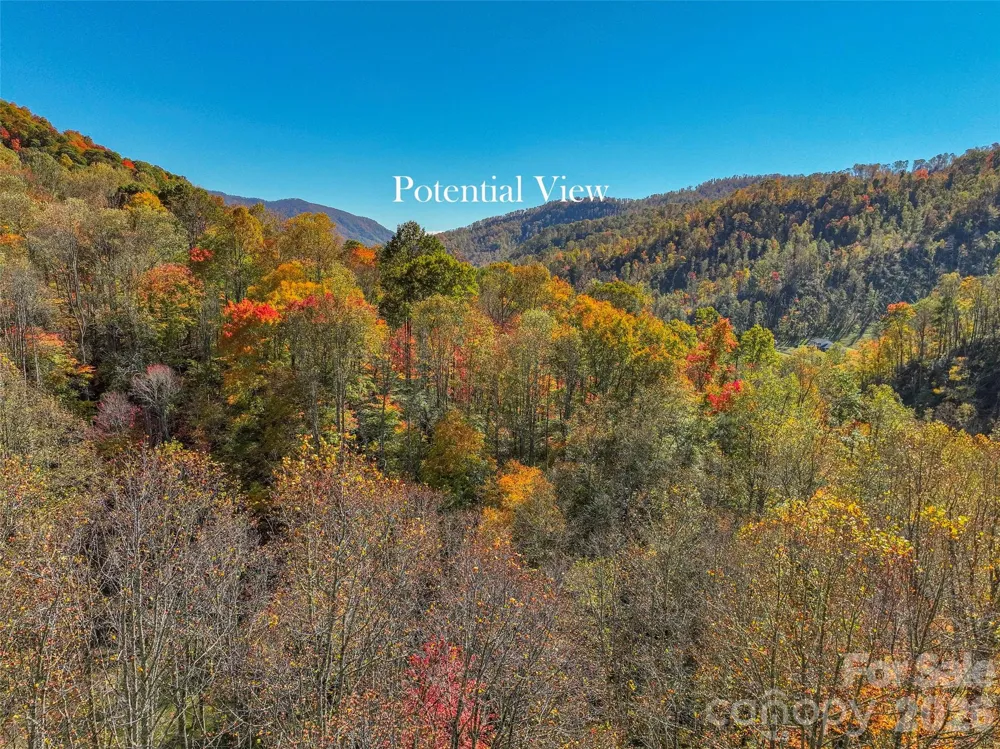 44 Toms Creek Road Bakersville, NC 28705