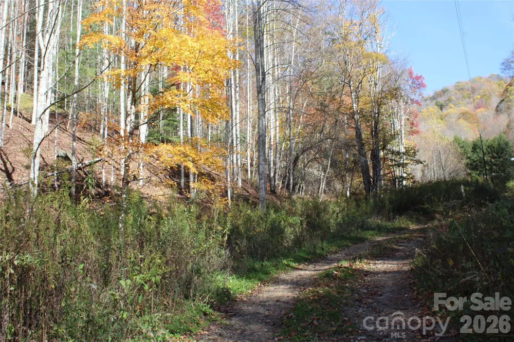 44 Toms Creek Road Bakersville, NC 28705