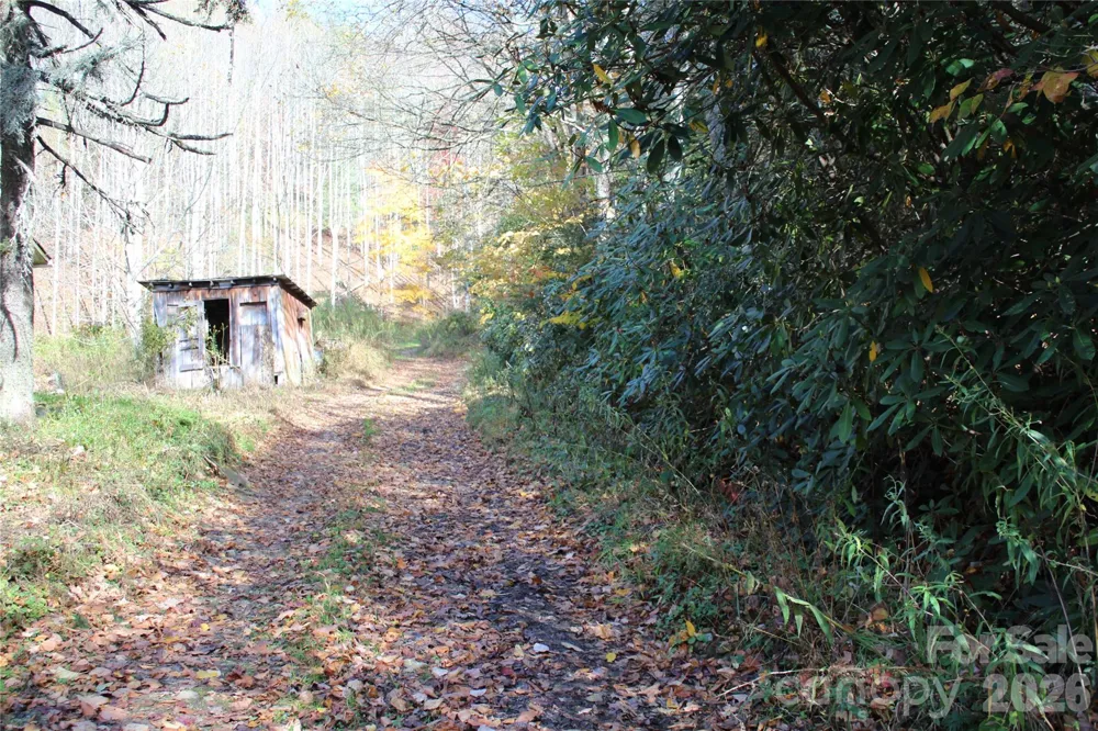 44 Toms Creek Road Bakersville, NC 28705