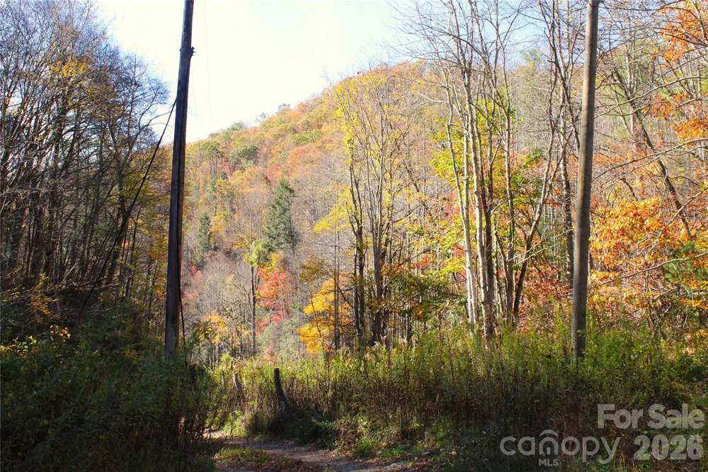 44 Toms Creek Road Bakersville, NC 28705