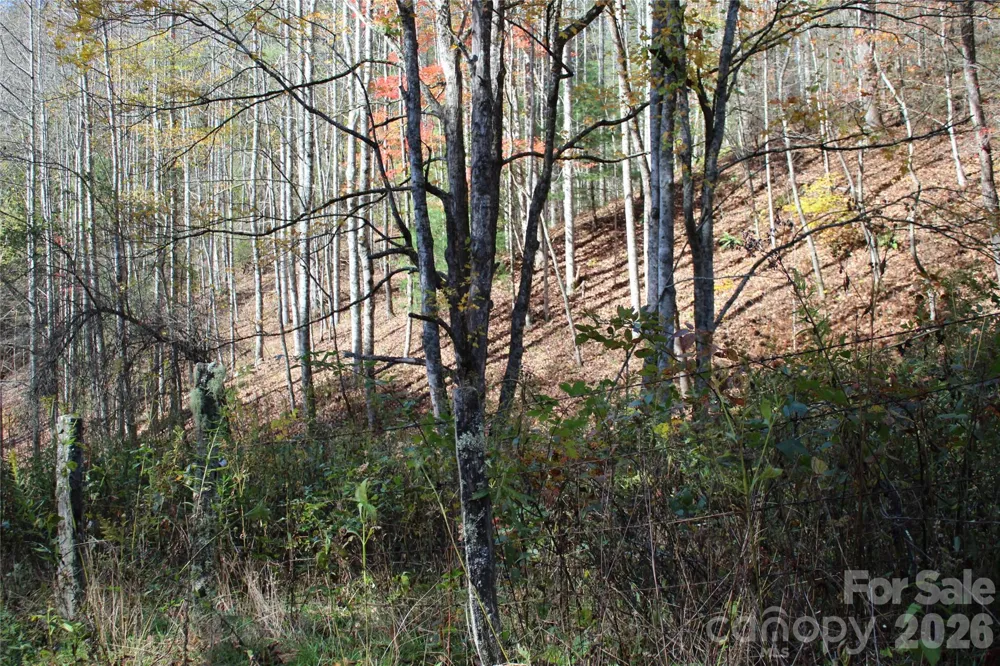 44 Toms Creek Road Bakersville, NC 28705