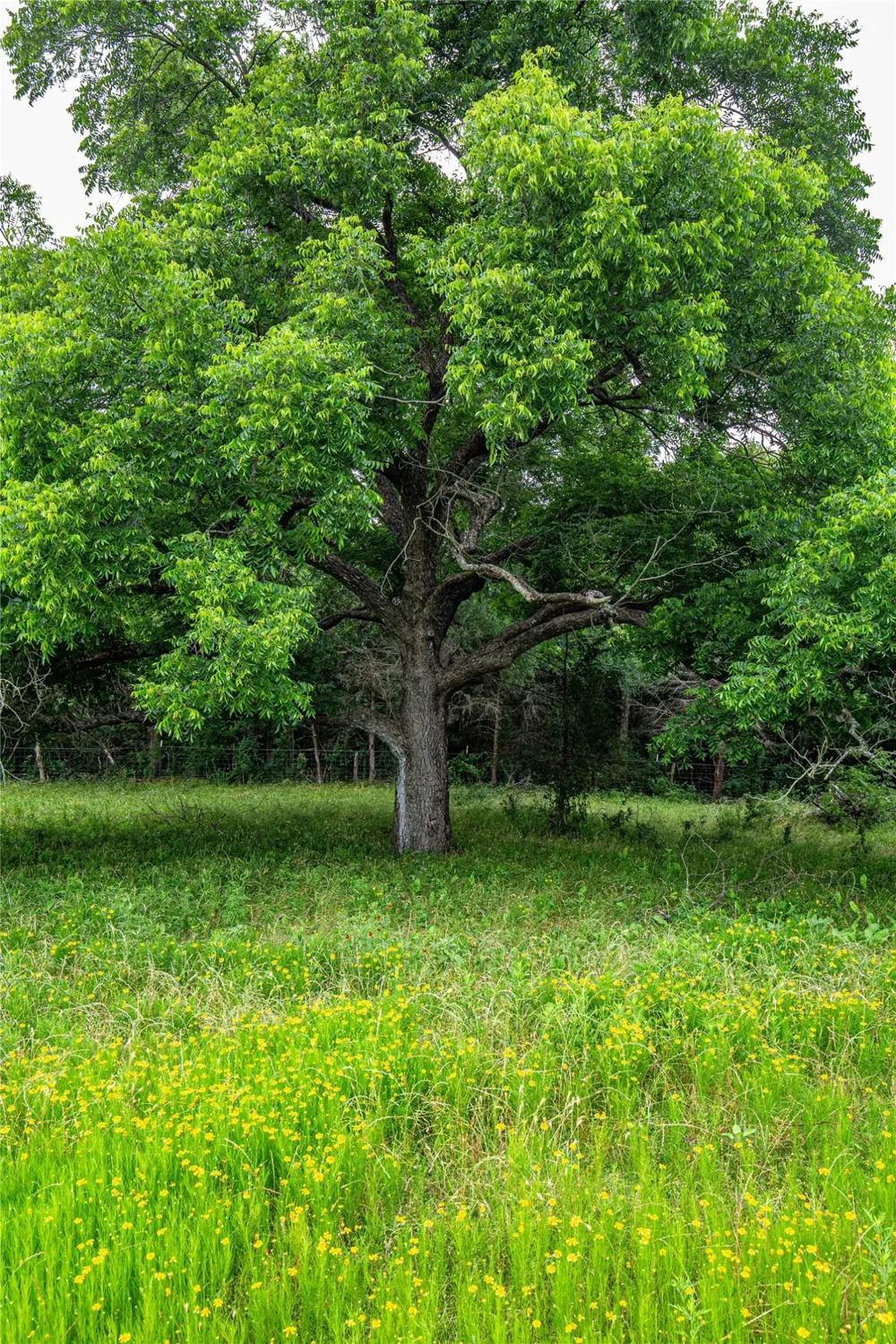 Gholson RD Waco, TX 76705