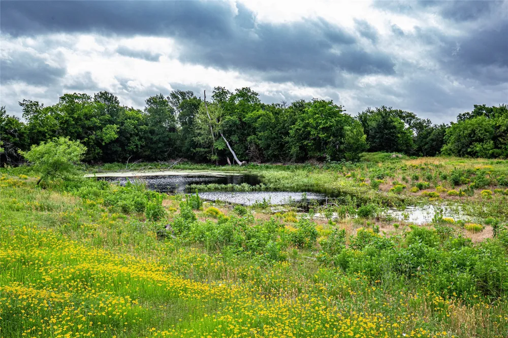 Gholson RD Waco, TX 76705