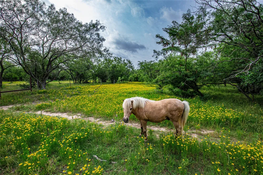 Gholson RD Waco, TX 76705