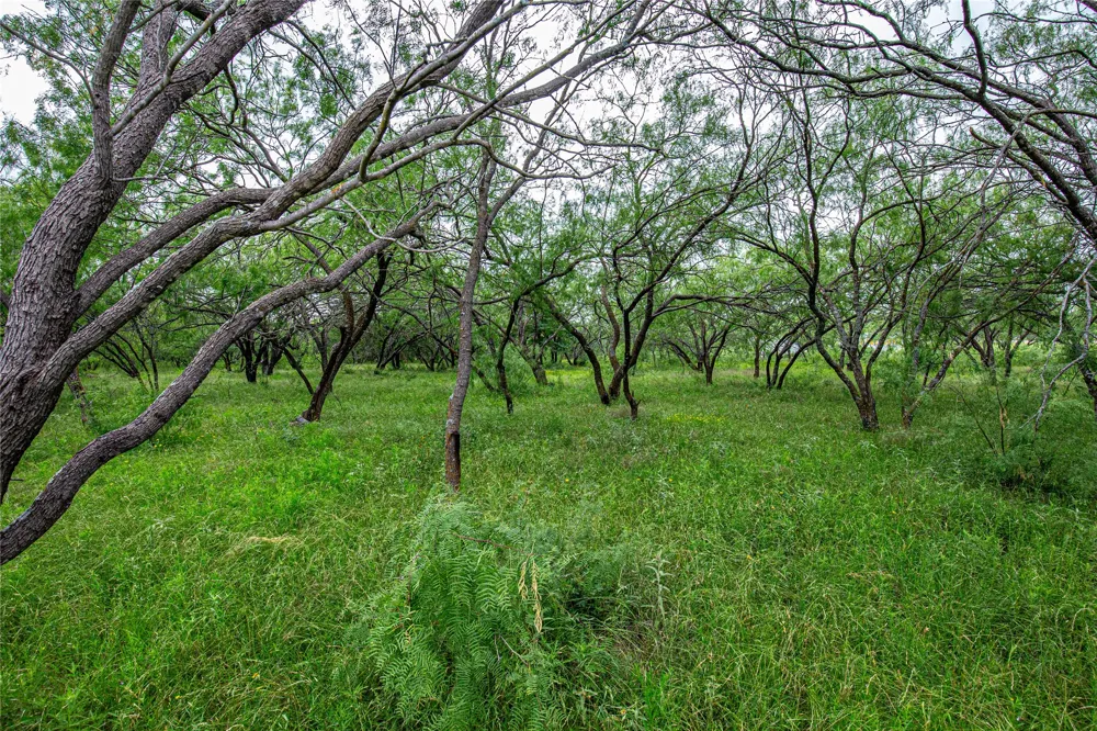 Gholson RD Waco, TX 76705