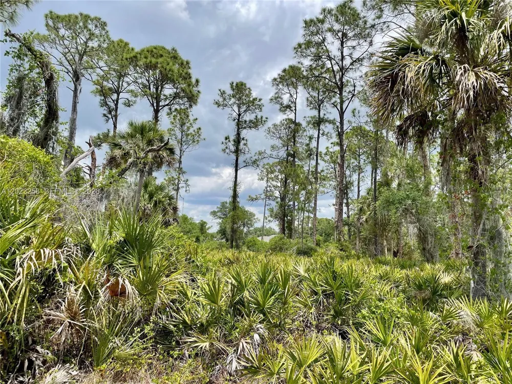 Address Not Shown Port Charlotte, FL 3345