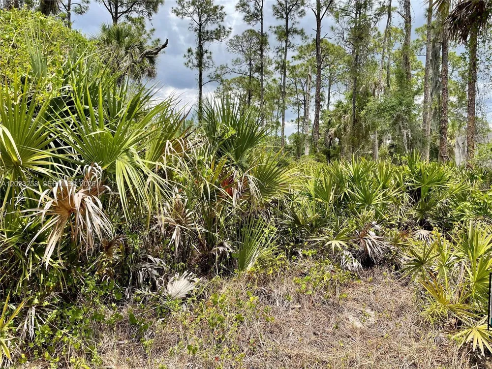 Address Not Shown Port Charlotte, FL 3345