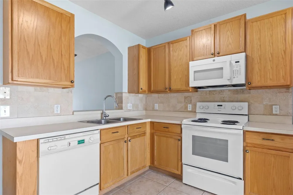 16221 SWAN VIEW CIRCLE Odessa, FL 33556