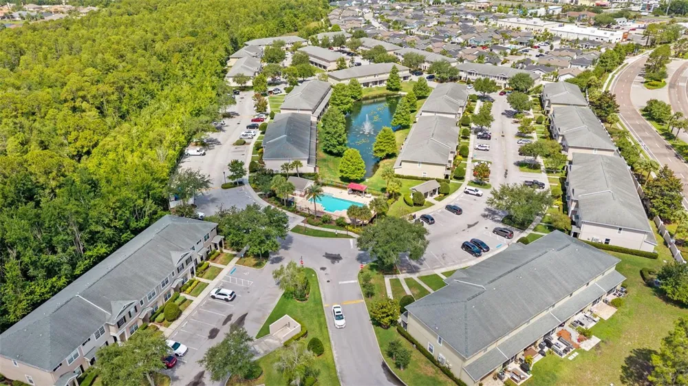 16221 SWAN VIEW CIRCLE Odessa, FL 33556