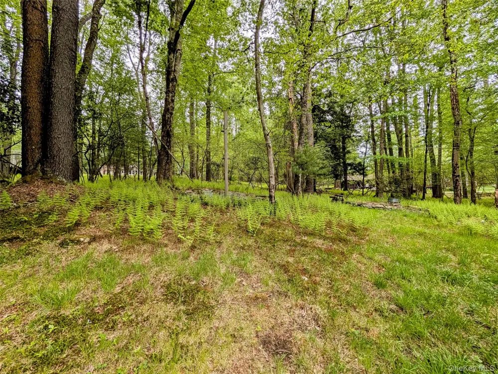 628 Lake Shore Drive Smallwood, NY 12778
