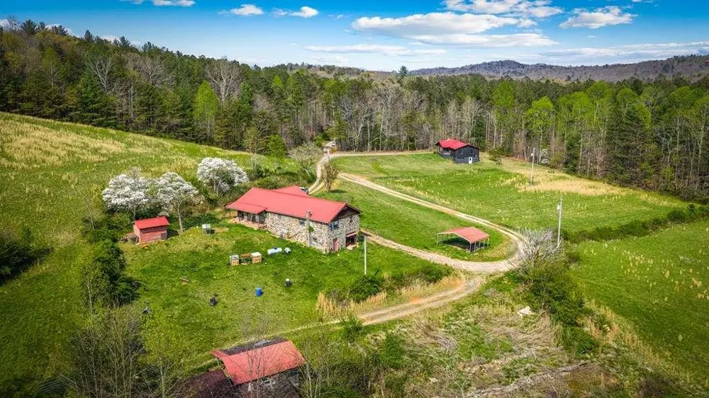 384 Maxwell Road Blue Ridge, GA 30513