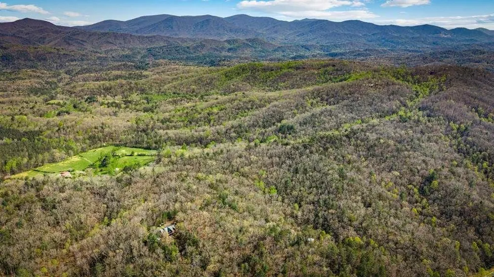 384 Maxwell Road Blue Ridge, GA 30513