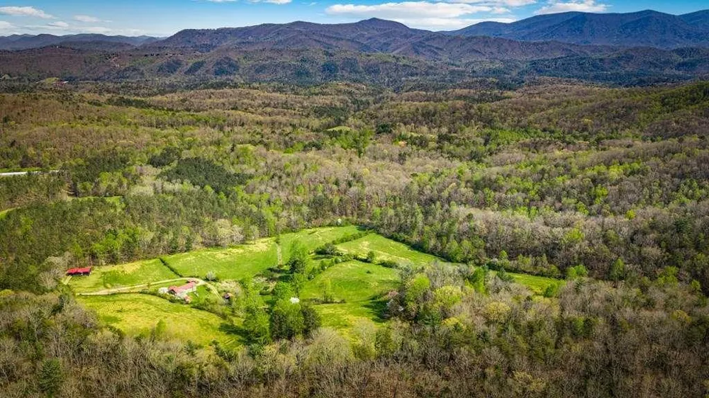 384 Maxwell Road Blue Ridge, GA 30513