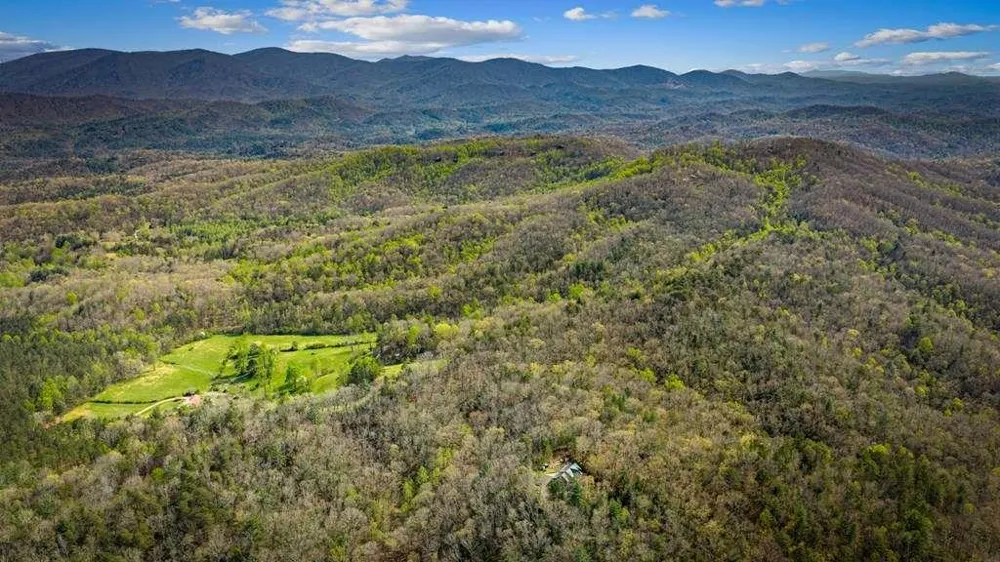 384 Maxwell Road Blue Ridge, GA 30513