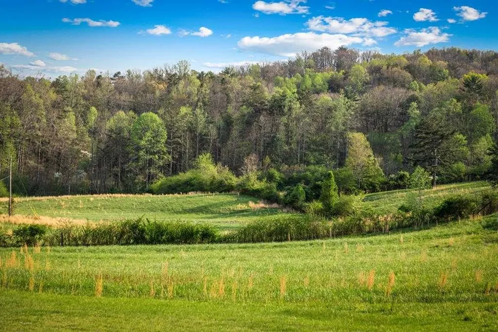 384 Maxwell Road Blue Ridge, GA 30513