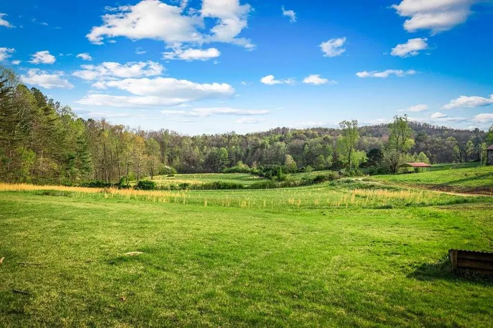 384 Maxwell Road Blue Ridge, GA 30513