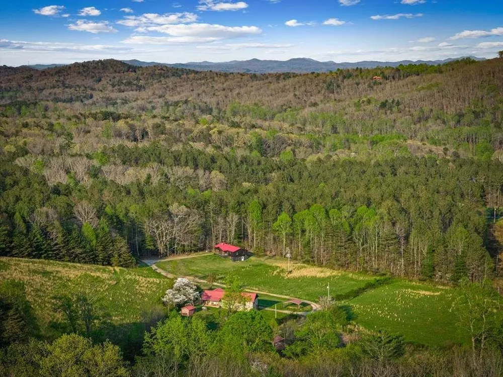 384 Maxwell Road Blue Ridge, GA 30513