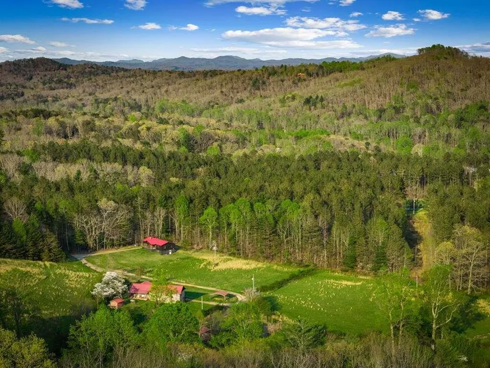 384 Maxwell Road Blue Ridge, GA 30513