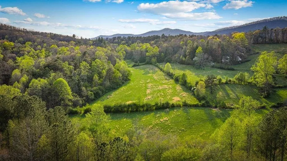 384 Maxwell Road Blue Ridge, GA 30513