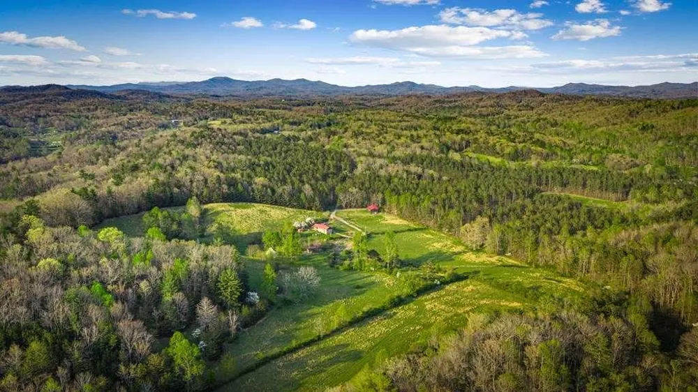 384 Maxwell Road Blue Ridge, GA 30513