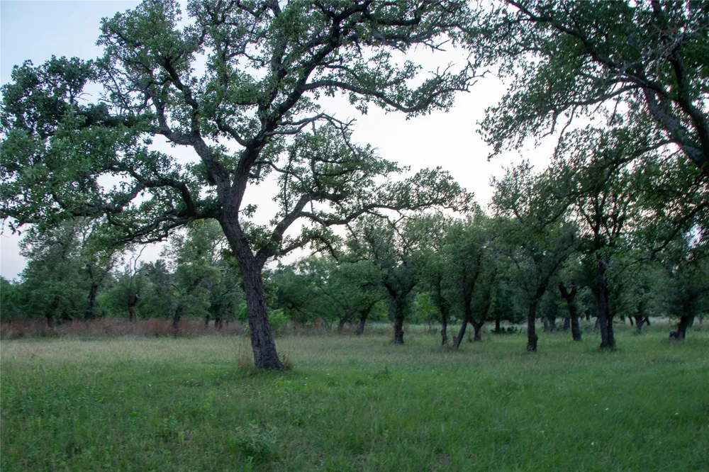 272 Slate Rock Road Willow City, TX 78675