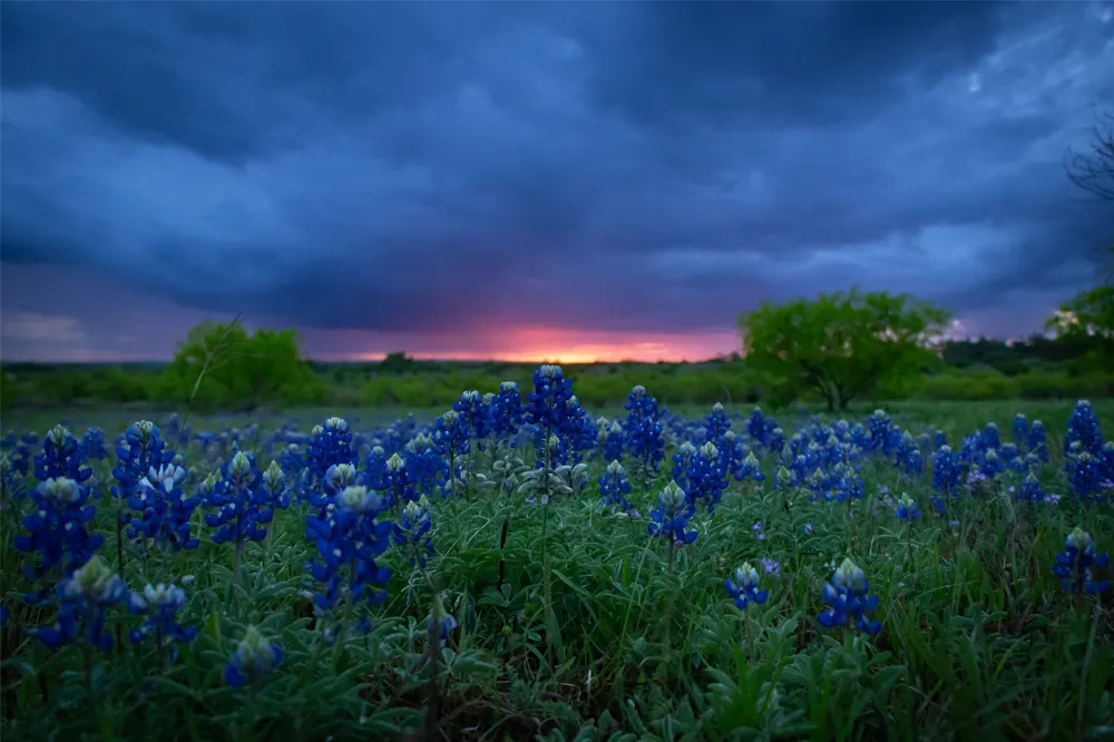 272 Slate Rock Road Willow City, TX 78675