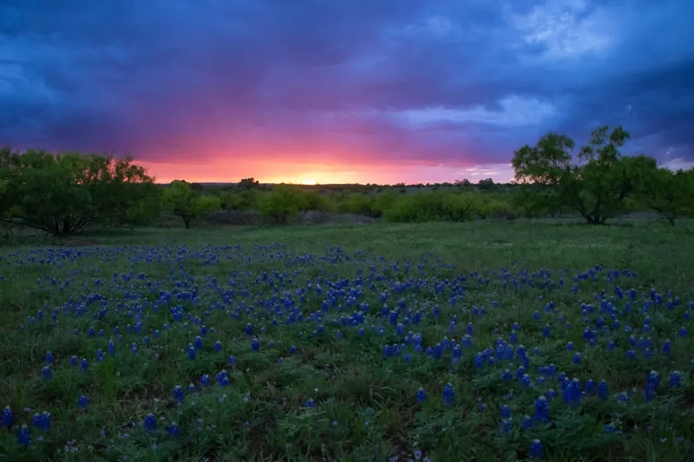 272 Slate Rock Road Willow City, TX 78675
