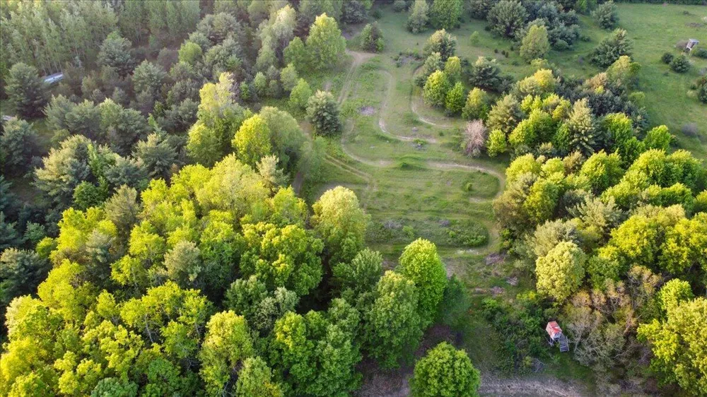 20200 W Lake Montcalm Road Howard City, MI 49329