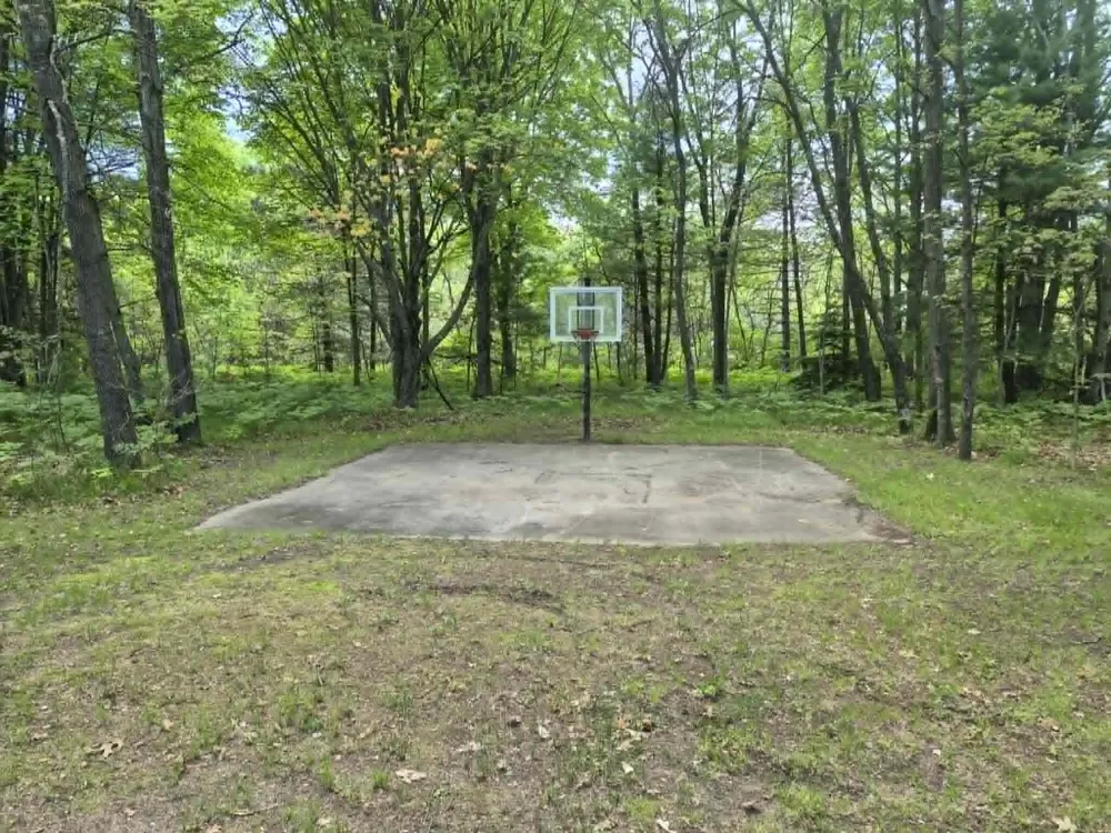 20200 W Lake Montcalm Road Reynolds Township, MI 49329