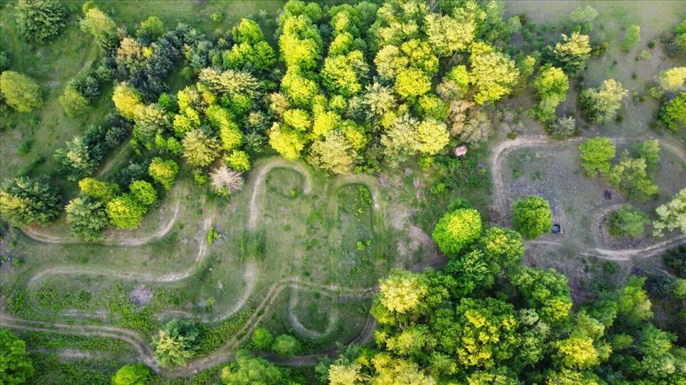 20200 W Lake Montcalm Road Reynolds Township, MI 49329
