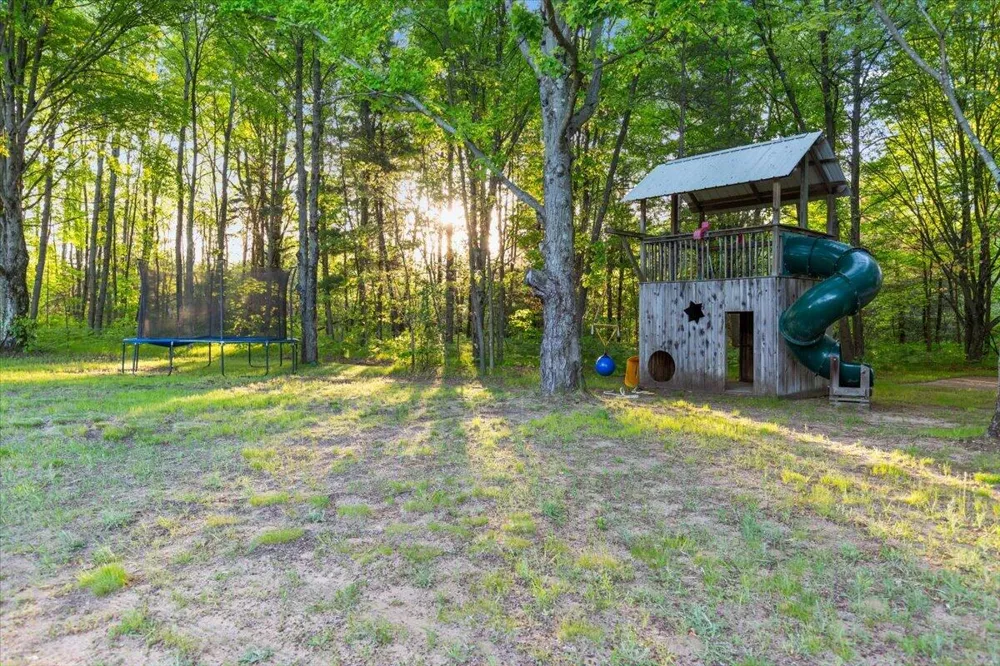20200 W Lake Montcalm Road Reynolds Township, MI 49329