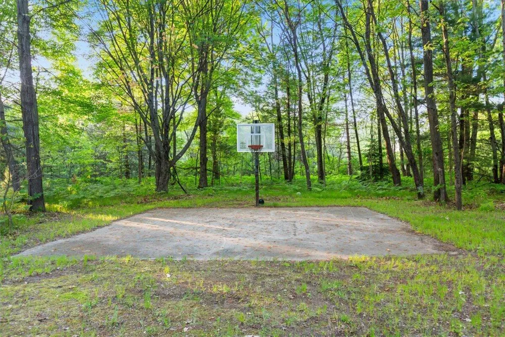 20200 W Lake Montcalm Road Reynolds Township, MI 49329