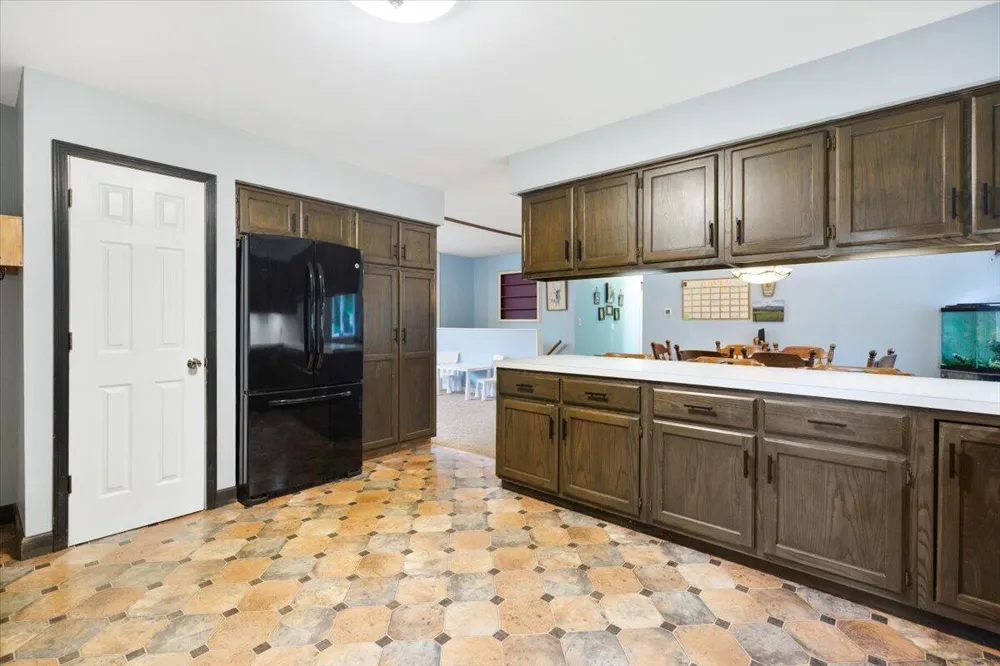 20200 W Lake Montcalm Road Reynolds Township, MI 49329