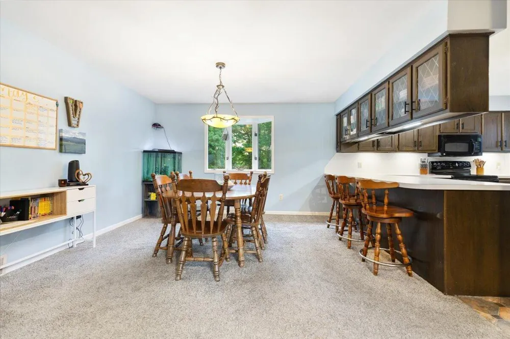 20200 W Lake Montcalm Road Reynolds Township, MI 49329