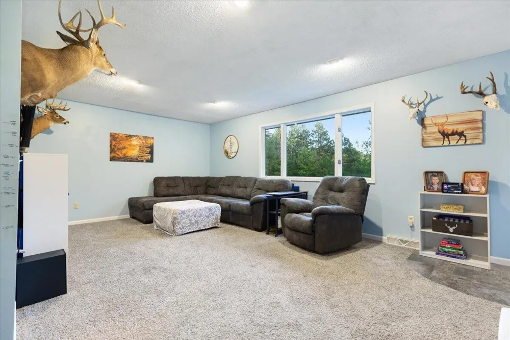 20200 W Lake Montcalm Road Reynolds Township, MI 49329